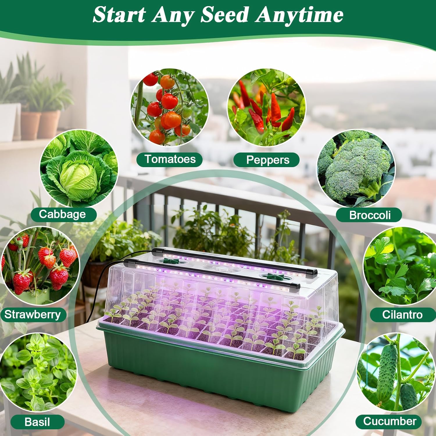 120 Cell Seed Starter Trays Self Watering with LED Grow Light – 2 Pack 60 Cells Seed Starting Kit with Humidity Domes, Tools & Labels for Indoor Gardening