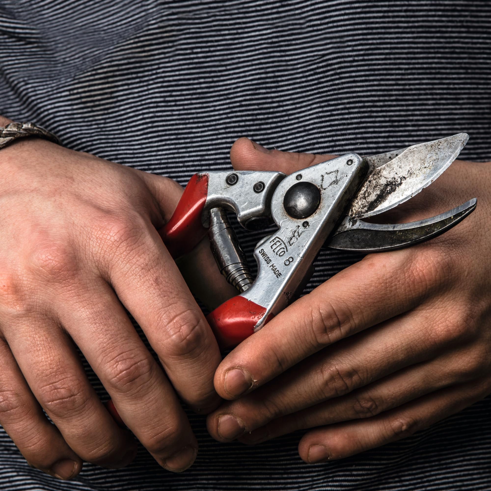 FELCO 8 Gartenschere Klinge F-Gold/Blaue Griffe – Rechtshänder, kompakt und langlebig, AuCo-Klinge korrosionsbeständig, 25 mm Schnitt, geschmiedete Griffe, Swiss Made