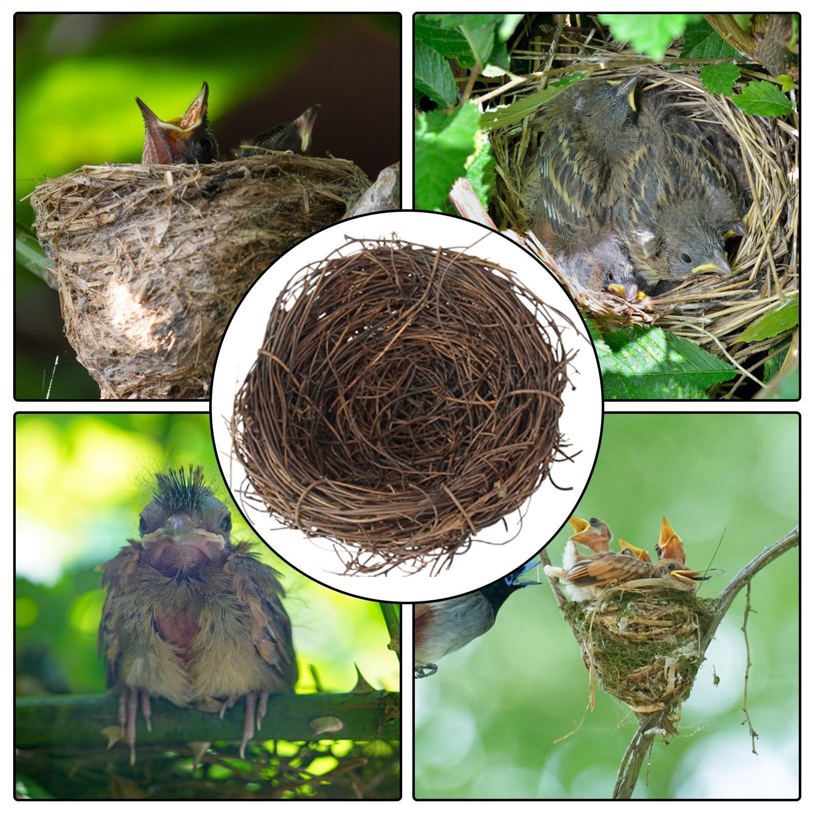 Nido de pájaros – Nido de loro tejido hecho a mano | Base plana para animales pequeños para jardín, accesorios de jaula de pájaros para hábitat, cabaña de césped natural para pinza, periquito, canario — view 5