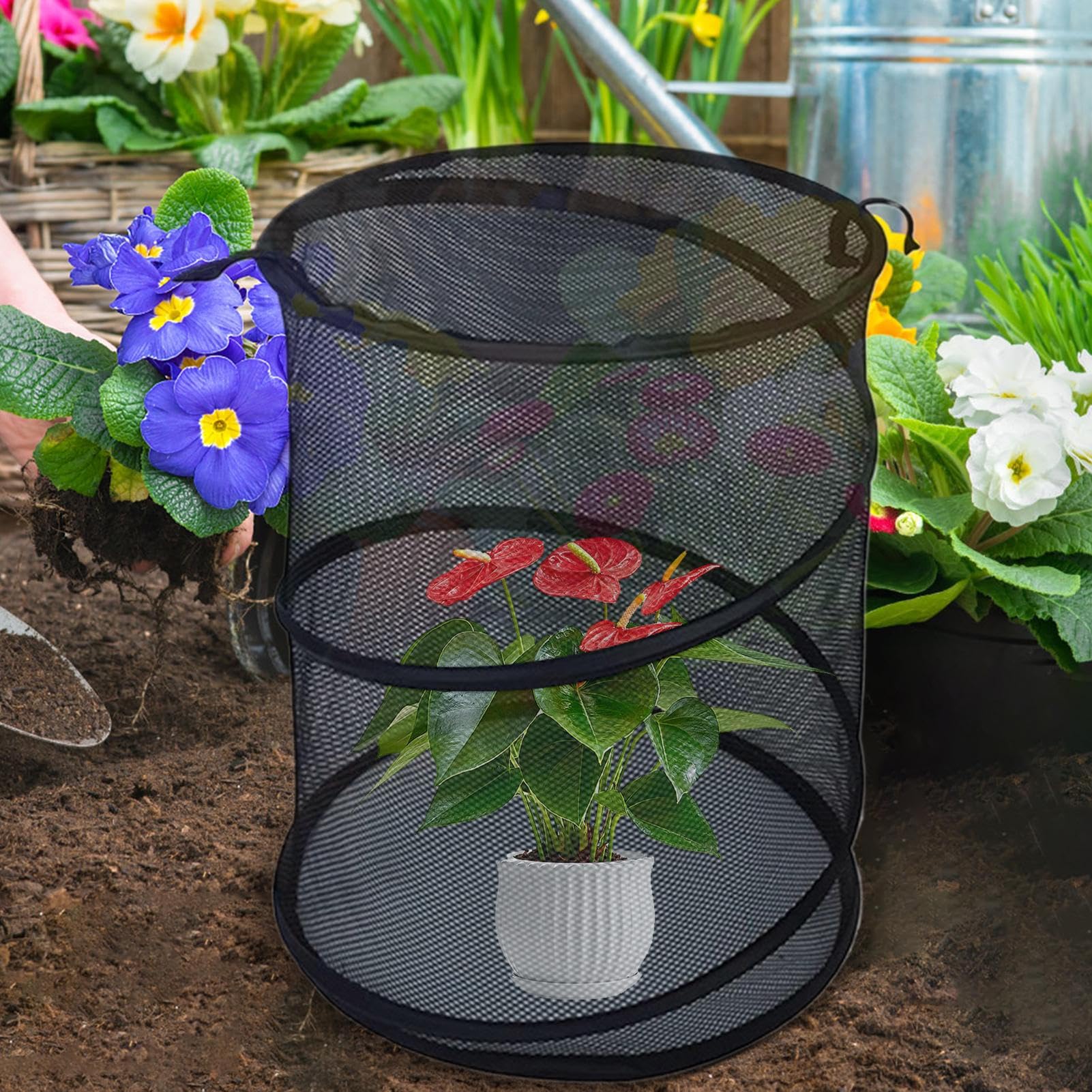 Rete di protezione per piante, 4 scomparti, pieghevole, protezione traspirante, area di protezione pieghevole con , per alberi da giardino, arbusti di mirtilli