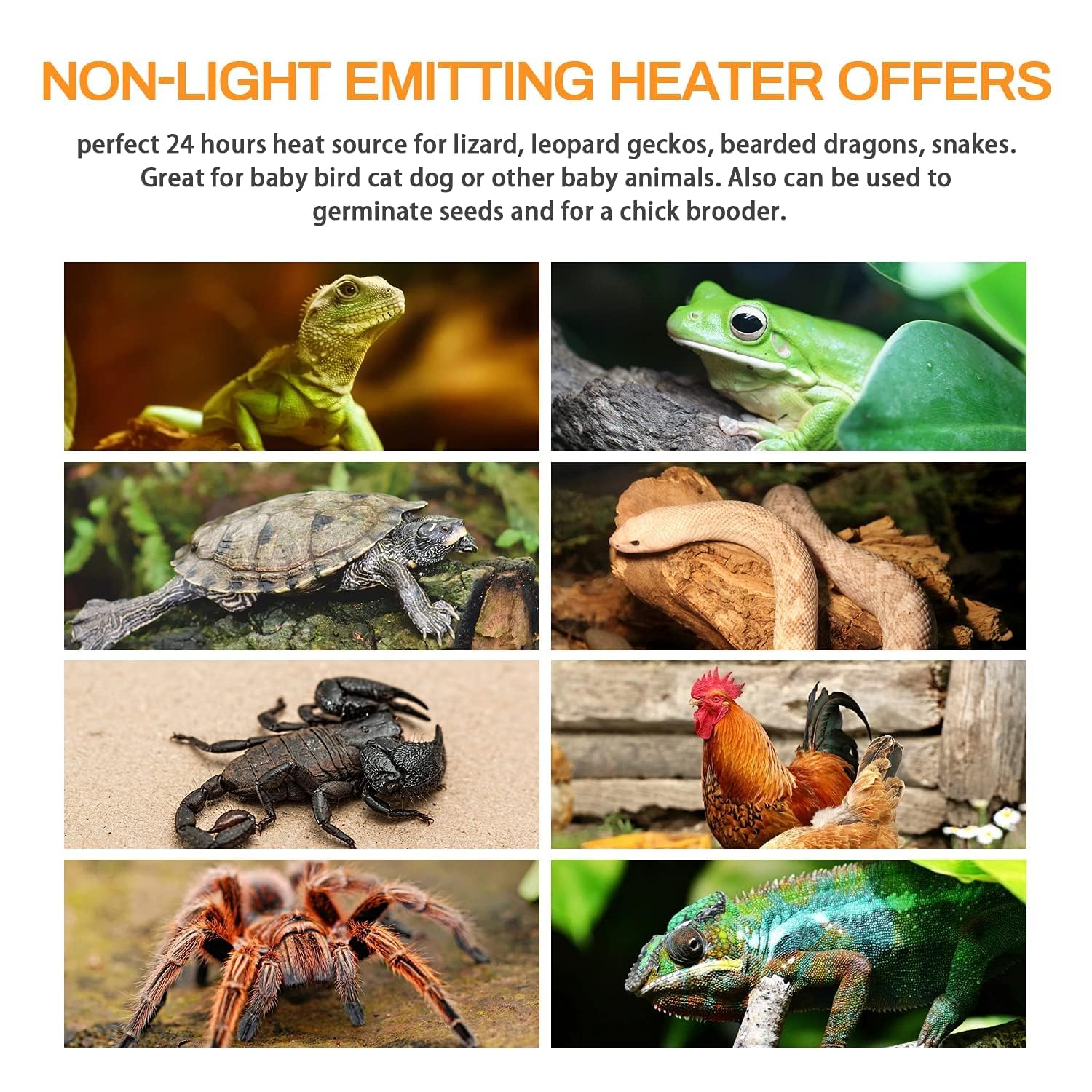 Simple Deluxe 100W Reptile Heat Lamp Bulbs, Pack of 4 Ceramic Heat Emitters for Amphibian Pet & Incubating Chicken (White, 100 Watts) - image 7