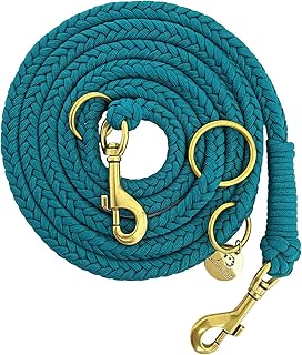 Leisegrün Paracord Hundeleine 2m | Handgefertigte Leine 3-Fach verstellbar | Handmade für kleine und mittelgroße Hunde (Seafoam, 2 m) | Farbe: Türkis product image