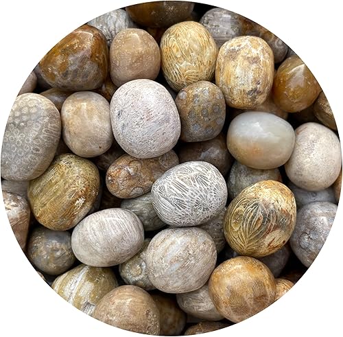 Miniatura 317 de GAF TREASURES Piedras pulidas de ojo de tigre de 1/2 libra, piedra preciosa natural pulida, cristales curativos de ojo de tigre (ojo de tigre)