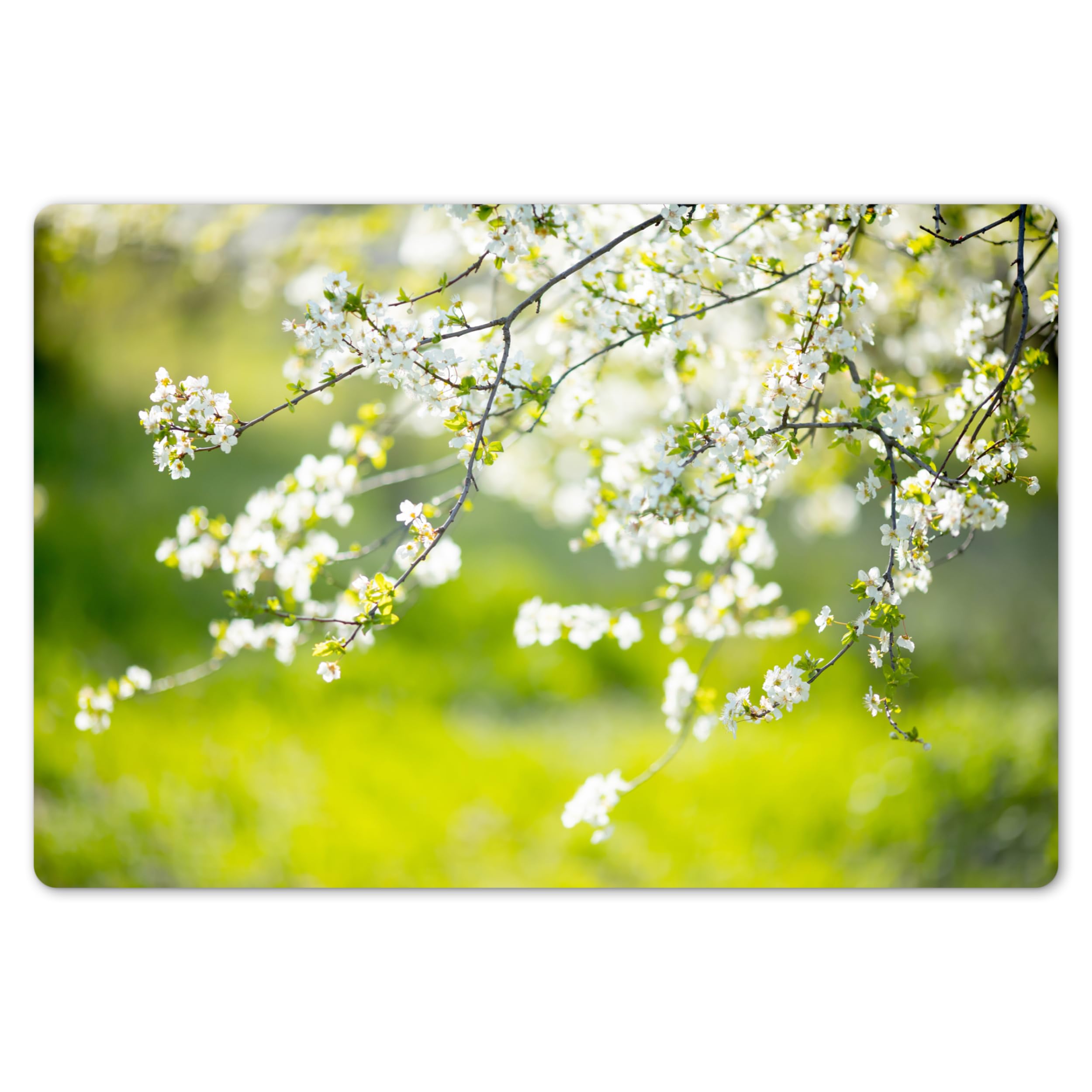KitchenYeah© Place Mats For Table 18"x12" / 45x30 cm Placemat Set Of 6 Placemats Wipe Clean Kitchen Anti Slip Dinner Dining Mat Dinning Blossom - Spring - White