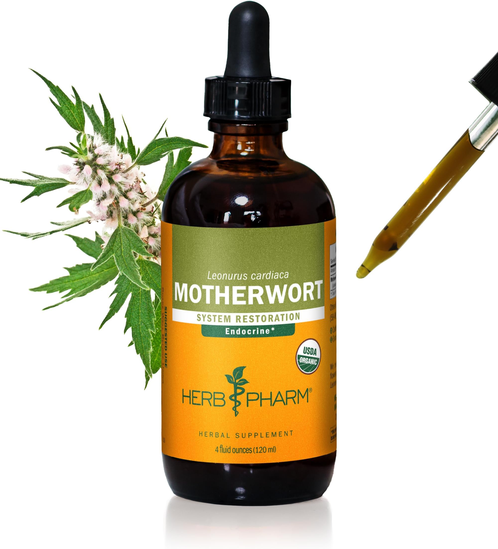 Certified Organic Motherwort Liquid Extract for Endocrine System Support - 4 Ounce