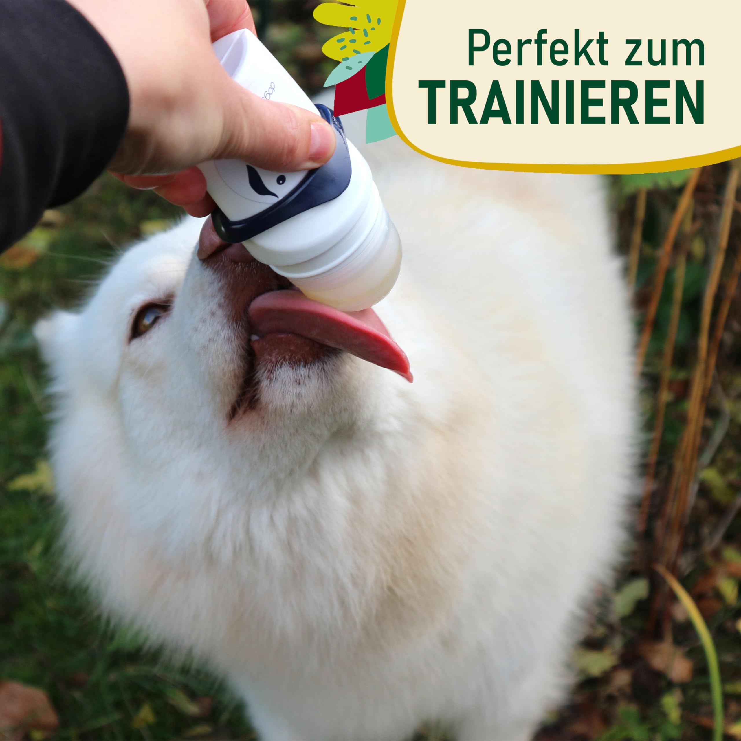 Hunde Smoothie SmoothieDog 6er Huhn + Doggyroller m. Halter, Karabiner Blau - Flüssiges Hundeleckerli - Zucker- & glutenfrei - Zubehör Hund - je 250ml