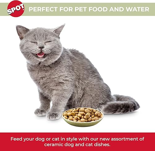 Miniatura 4 de SPOT Plato ovalado moteado para gatos, plato de cerámica con bordes bajos, platillo con forma apta para bigotes y lados de perfil bajo, ideal para