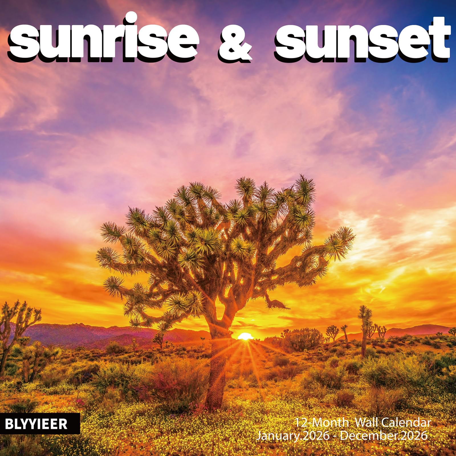 2026 Wall Calendar, Sunrise or Sunset Wall Calendars,2026 Monthly Calendars, Thick Glossy Paper, Organizing & Planning