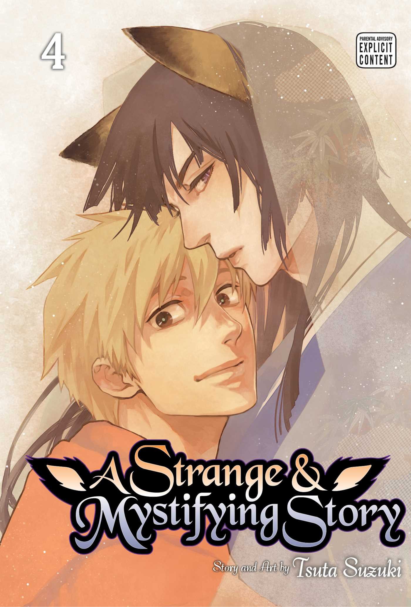 A Strange and Mystifying Story, Vol. 4: Volume 4