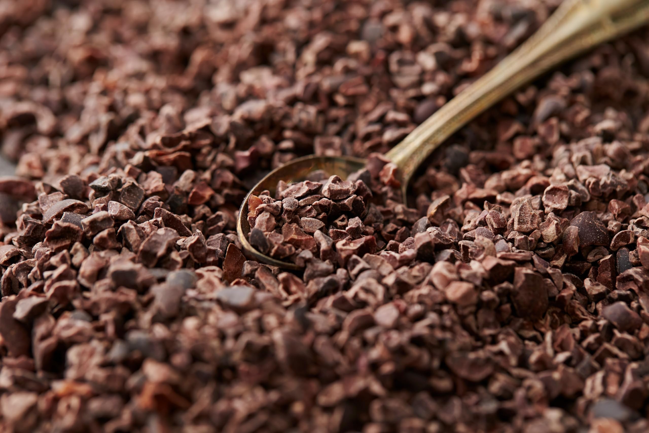 BAMBOO STORY | Nibs de Cacao 900 g | Crudo y Bio | 100% Perú | Criollo | Sin Azúcares Añadidos | Vegano
