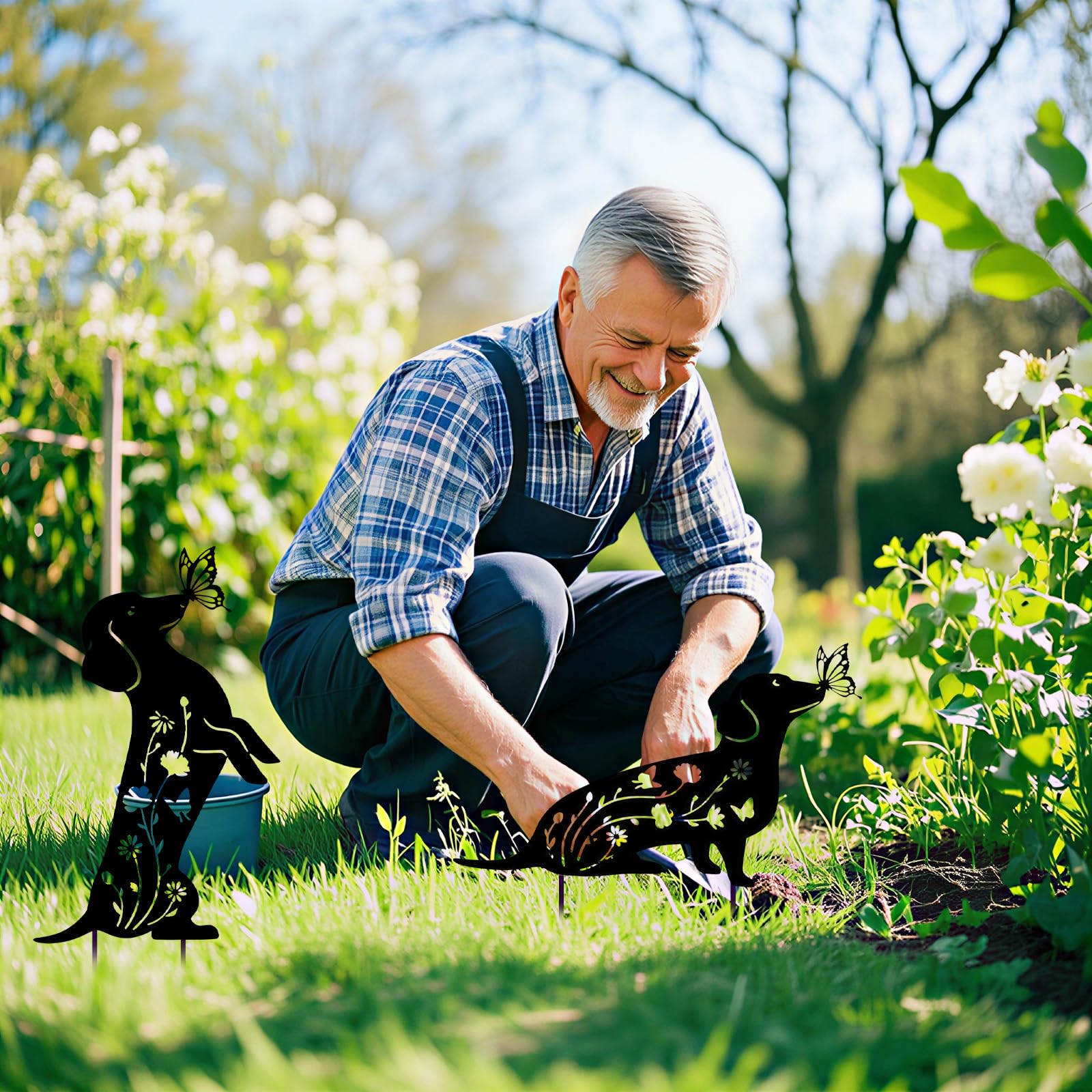 View 5
