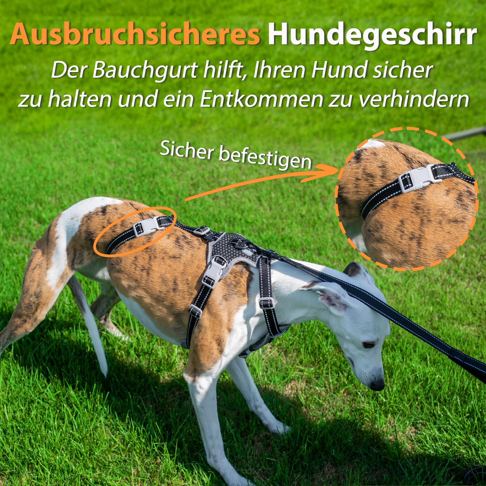 Huntboo Sicherheitsgeschirr Hund Ausbruchsicher, Panikgeschirr für Hunde, Anti Zug Hundegeschirr, Reflektierend, Verstellbare, Leichte Weste für kleine, mittelgroße und große Haustiere (Schwarz,L)