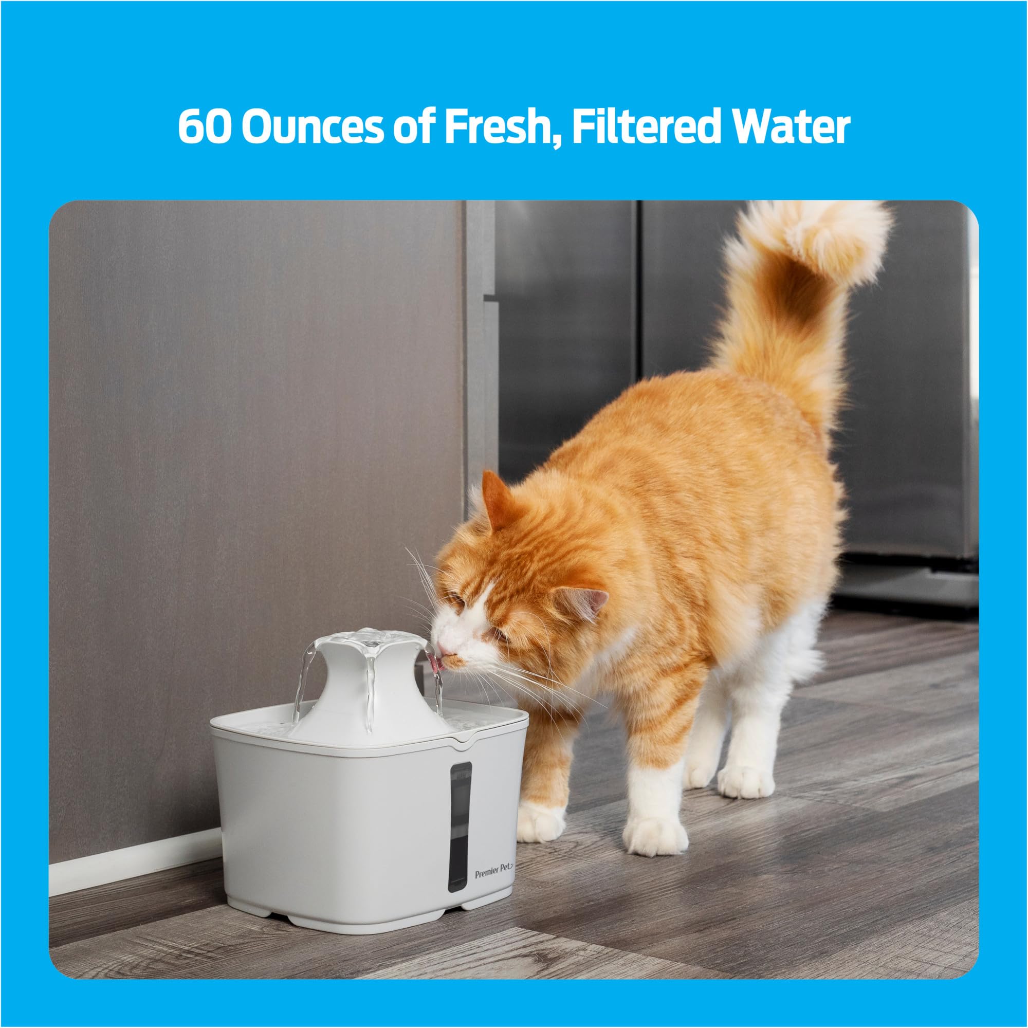 Fontana in PET Premier 600 Oz