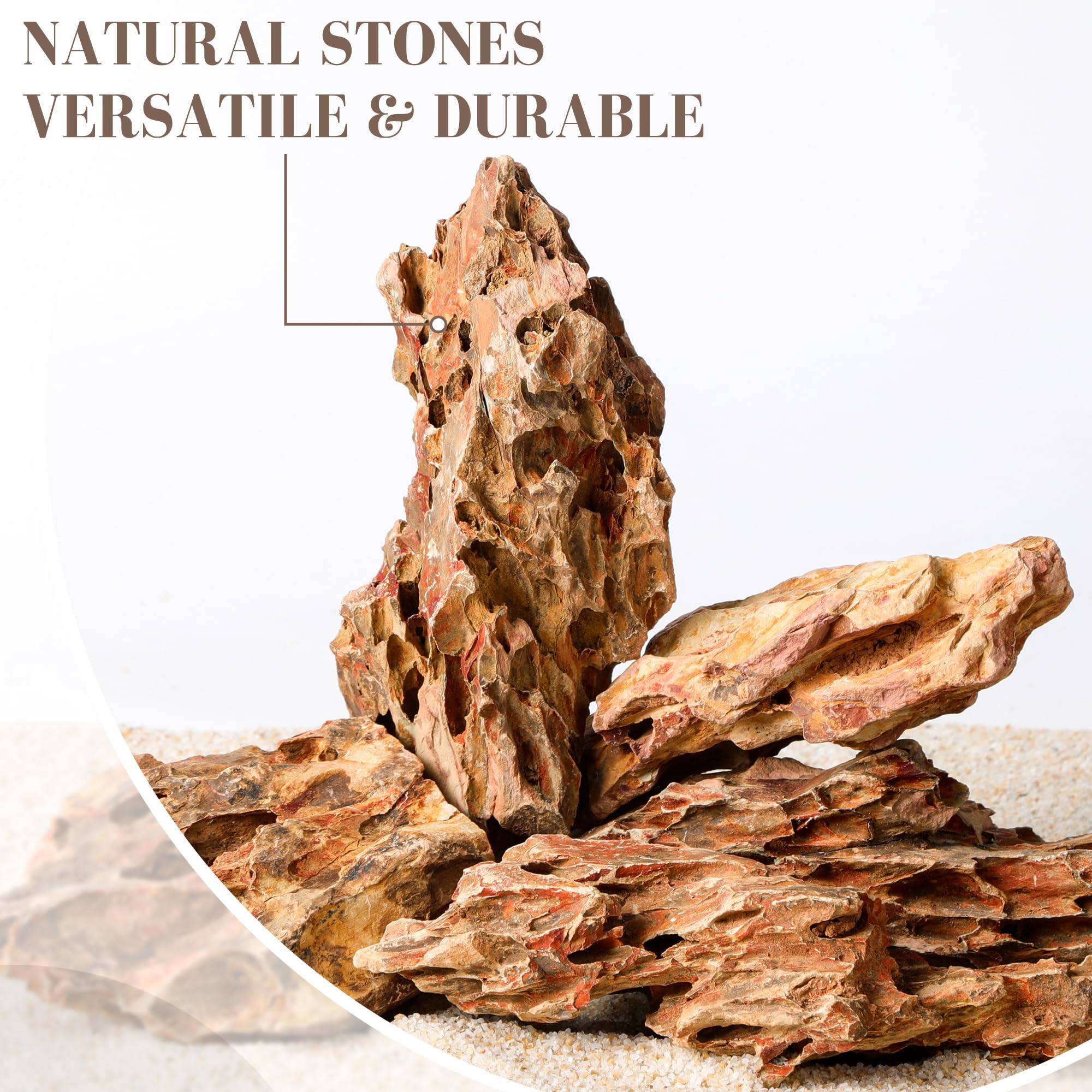 Piedra Dragon Natural 5,5-20,5 cm, Juego de 5 Piedras Mixtas para Aquascaping, Terrarios y Decoración de Acuarios