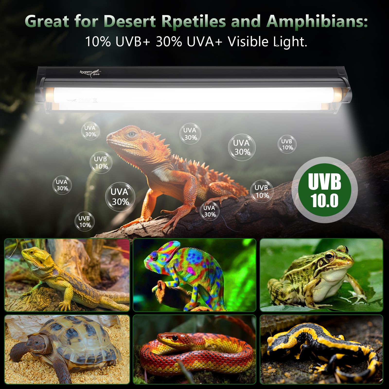 T5 8W 10.0 UVB Luz Kit Combinado de luminaria de Reptiles, 10.0 UVB para Reptiles Desierto, lámpara uvb 12.4"/ 31cm, Tubo de Alta Salida para dragón Barbudo Lagarto Tortuga