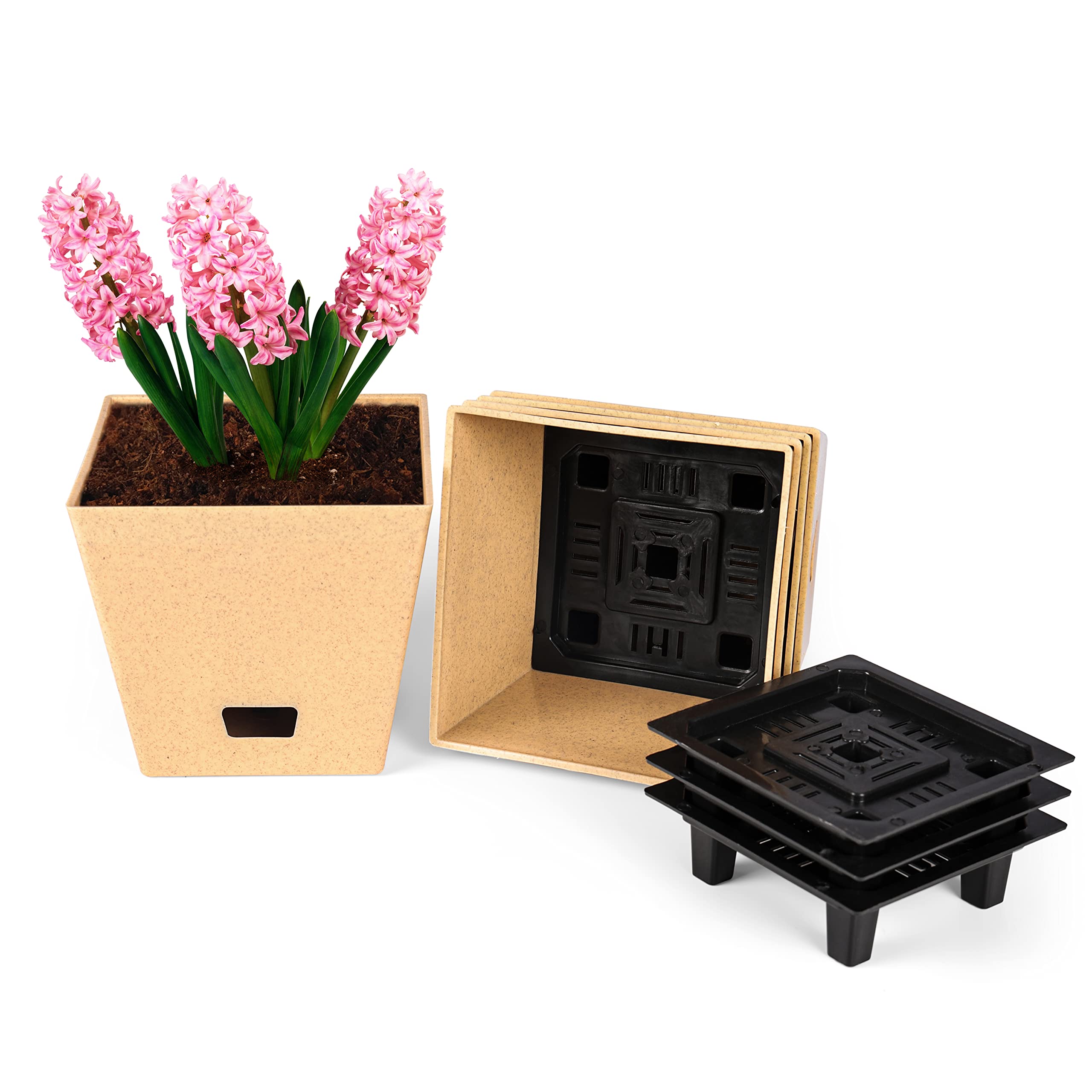 Livzing Set of 5 Square Self Watering Indoor Pots for Plants | 5 inch Flower Pots for Home Planters, Terrace, Garden | 5 Outer Pots & 5 Inner Tray | UnFadable | Low Maintenance Gamla - Sandal Dotted (B0BFWHMZ8G) Amazon Price History, Amazon Price Tracker