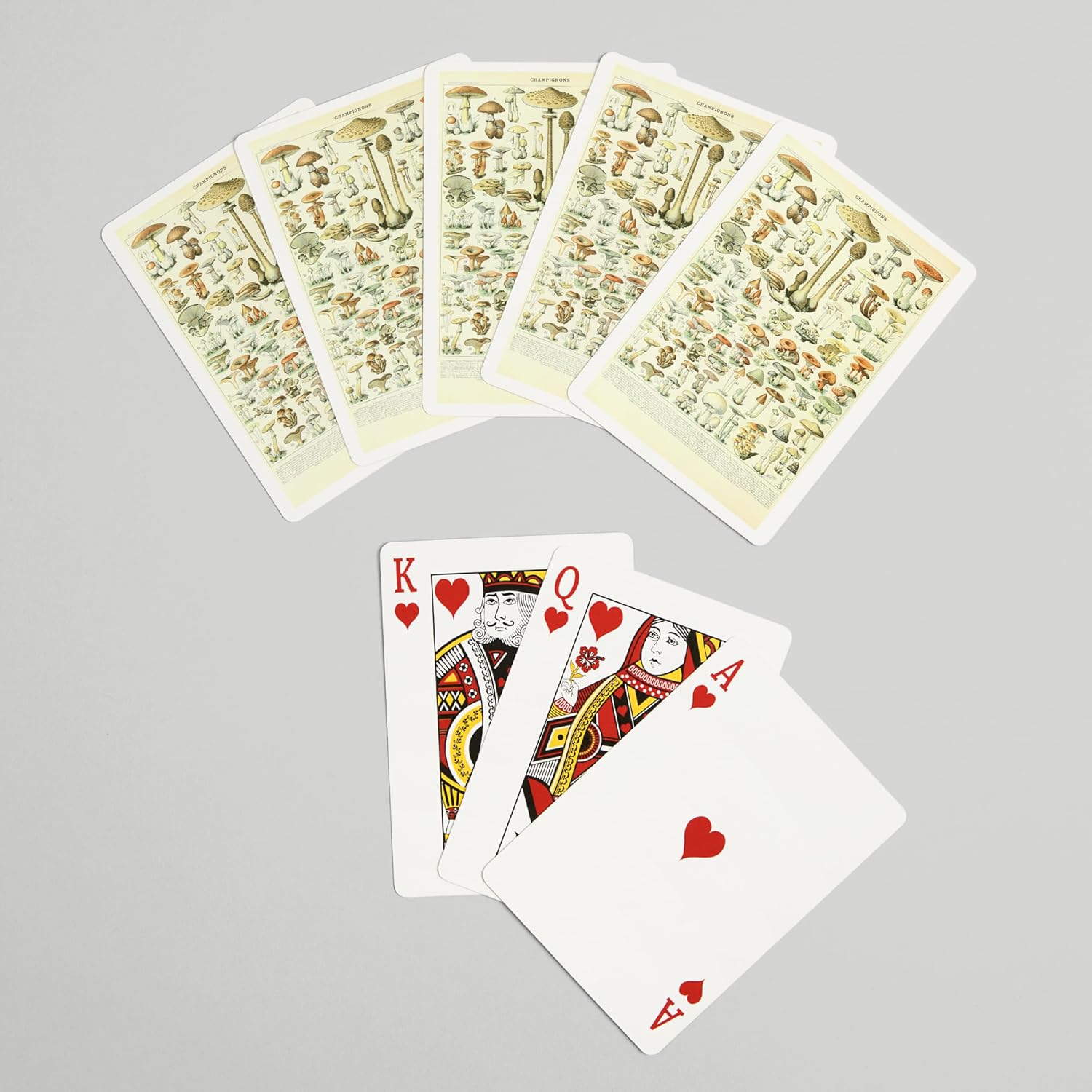 Lantern Press Mushrooms, B, Vintage Bookplate, Adolphe Millot Artwork, 52 Playing Cards for Adults, Poker Size Card Deck