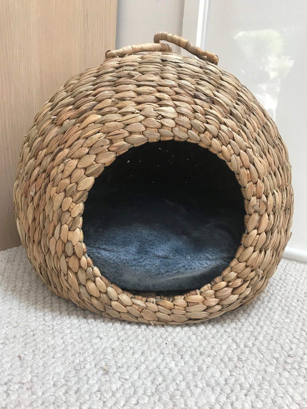 kmart cat igloo