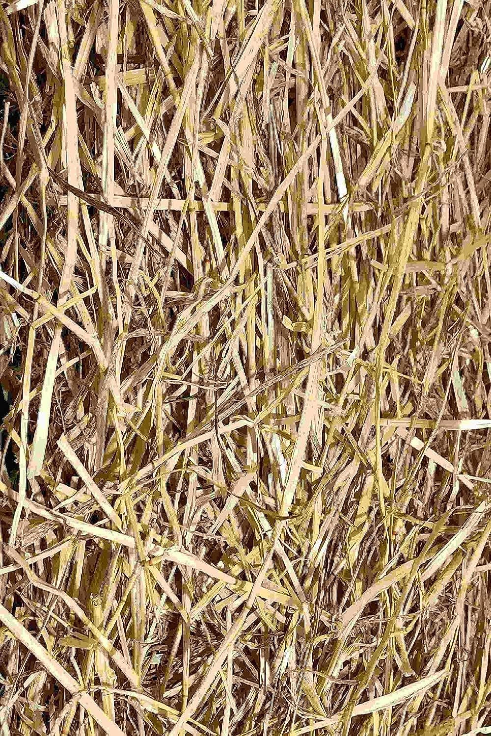 45 Litre Natural Wheat Straw Grass