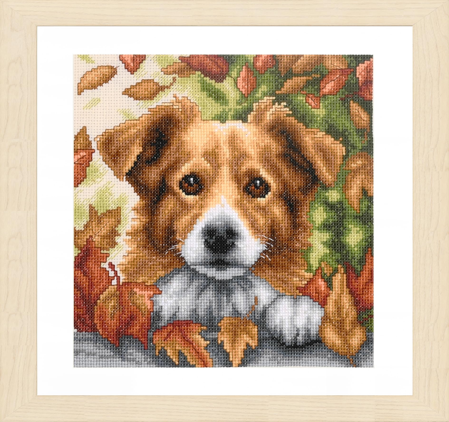VERVACO Haft Krzyżykowy Liczony Zestaw Obraz do Haftu PIES W JESIENI Zrób to Sam Zestaw Kreatywny dla Dorosłych ca. 20 x 20 cm Dekoracja Ścienna DIY Cross Stitch Kit