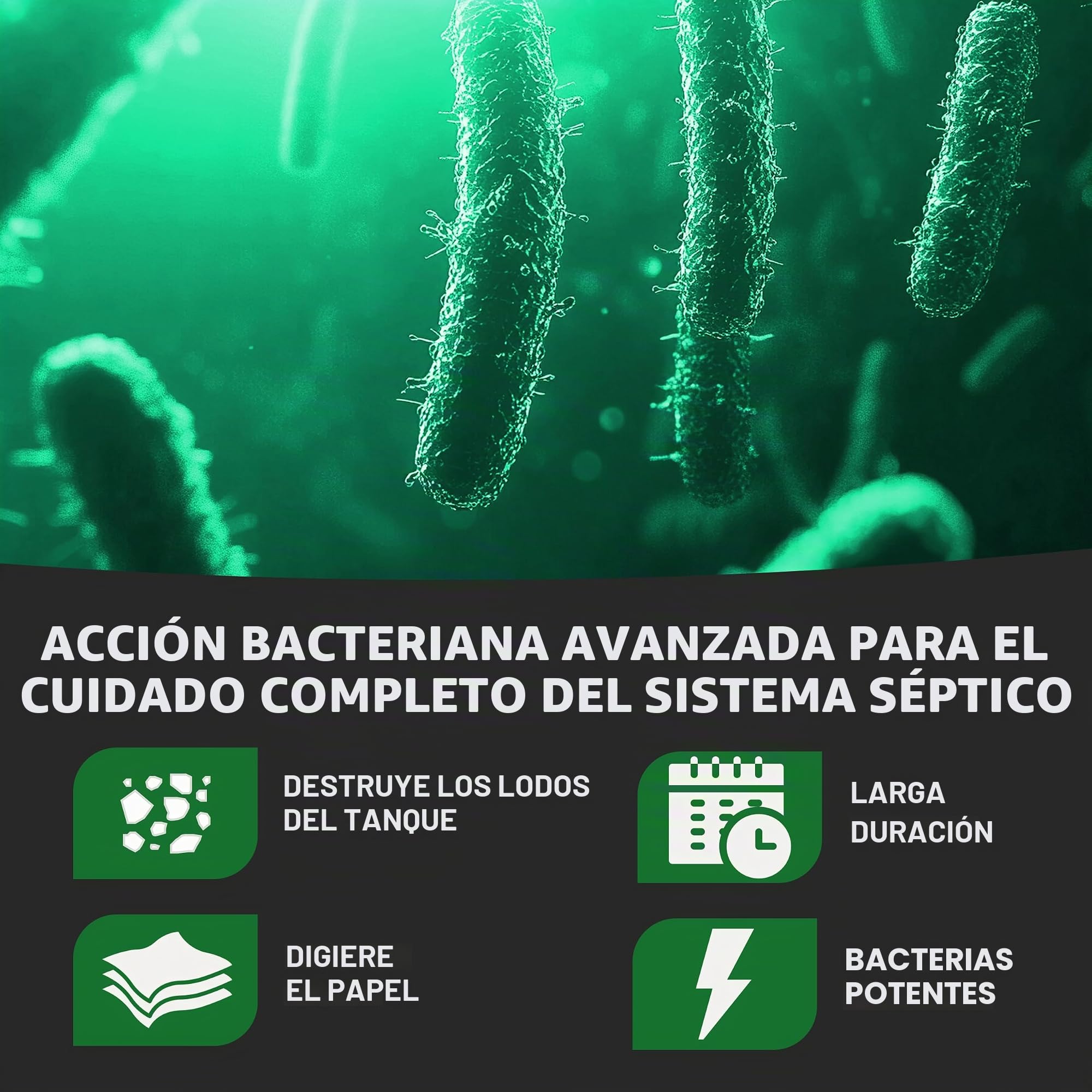 Roebic K-47-4 K-47-Q-Tratamiento de pozo negro que evita la obstrucción y la acumulación, bacterias exclusivas digiere el papel y destruye el lodo, 32 onzas, sin información
