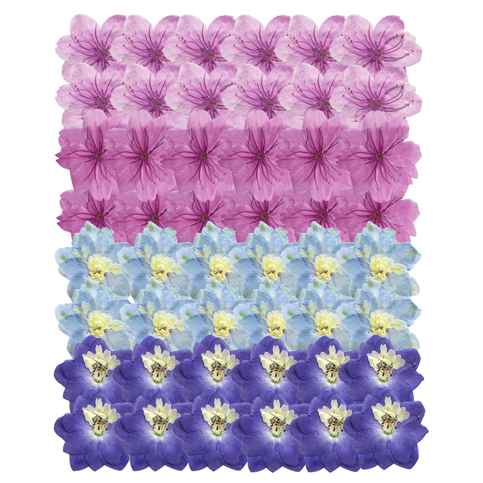48 Pcs Dried Pressed Flowers for Resin DIY Art Crafts Natural Dry Sakura Larkspur Floral Epoxy Jewelry Real Flower Decor Cakes Phone Cases Candles