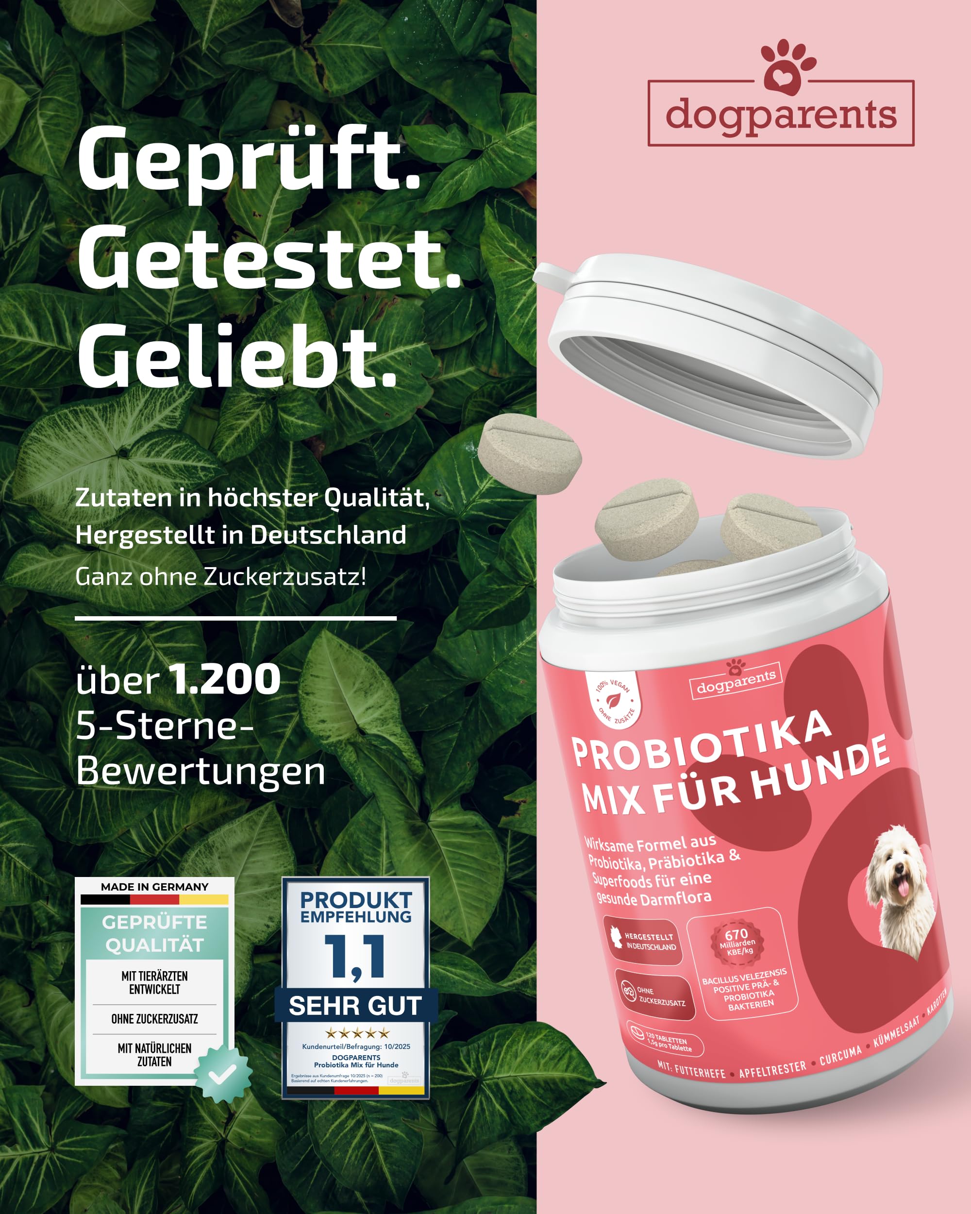 Prä & Probiotika Hund [MADE IN GERMANY, ZUCKERFREI & LABORGEPRÜFT] Darmkur mit 670 Mrd. KBE & Präbiotika – stärkt Darmflora & Verdauung – ideal nach Wurmkur, Grasfressen & Sodbrennen (180g (1er Pack))