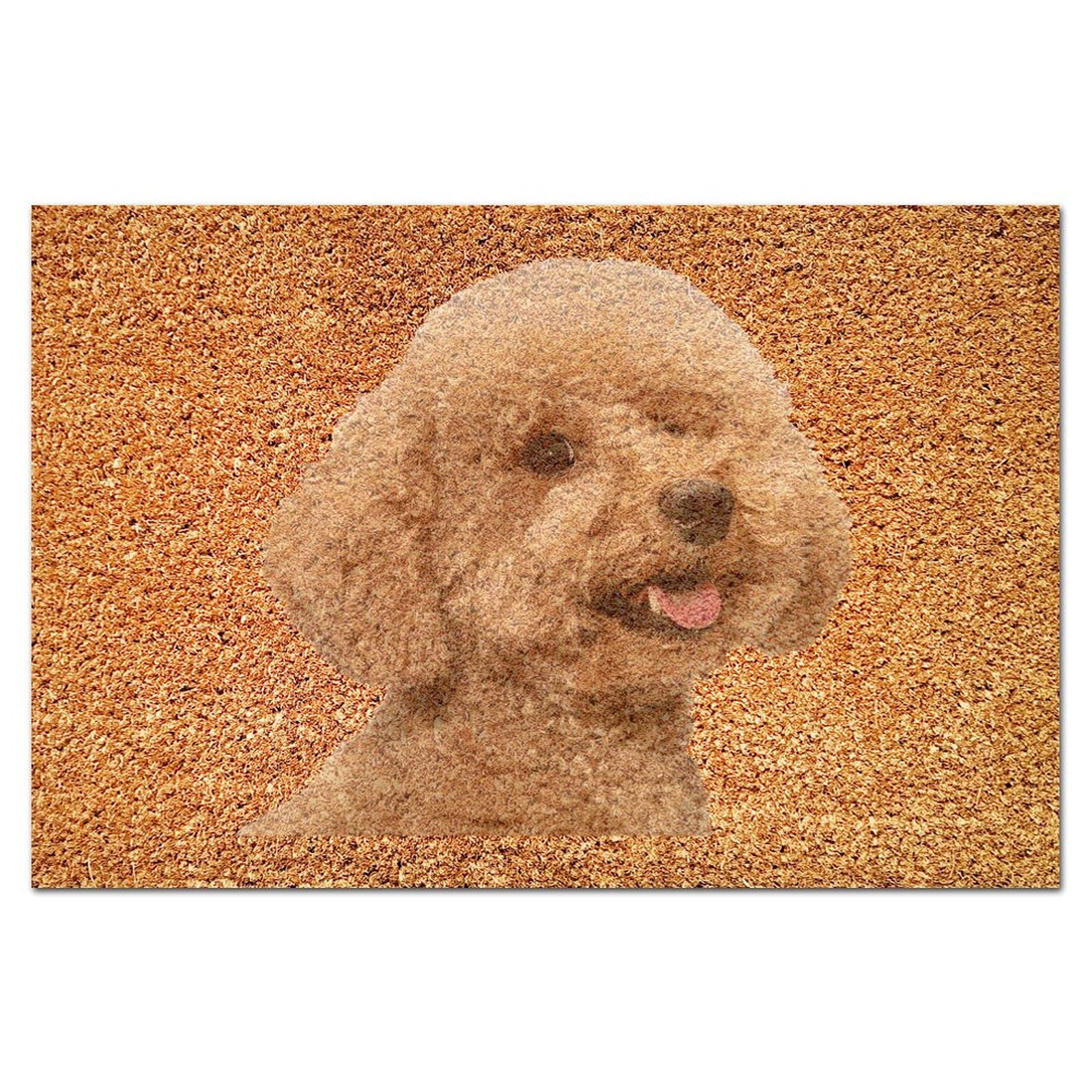 Paillasson Maltipoo en coco naturelle 40x60 cm pour entrée extérieure beige