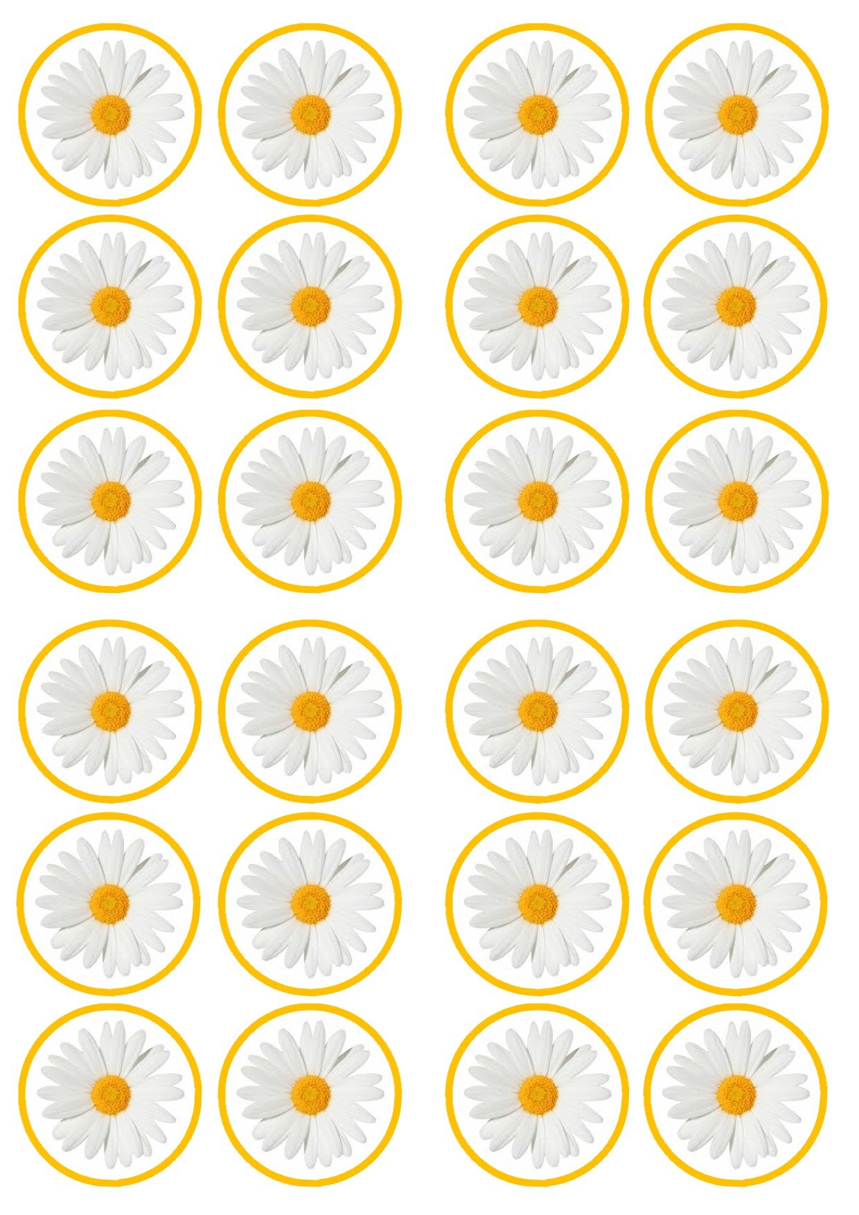 Daisy Flower Edible PREMIUM THICKNESS SWEETENED VANILLA, Wafer Rice Paper Cupcake Toppers