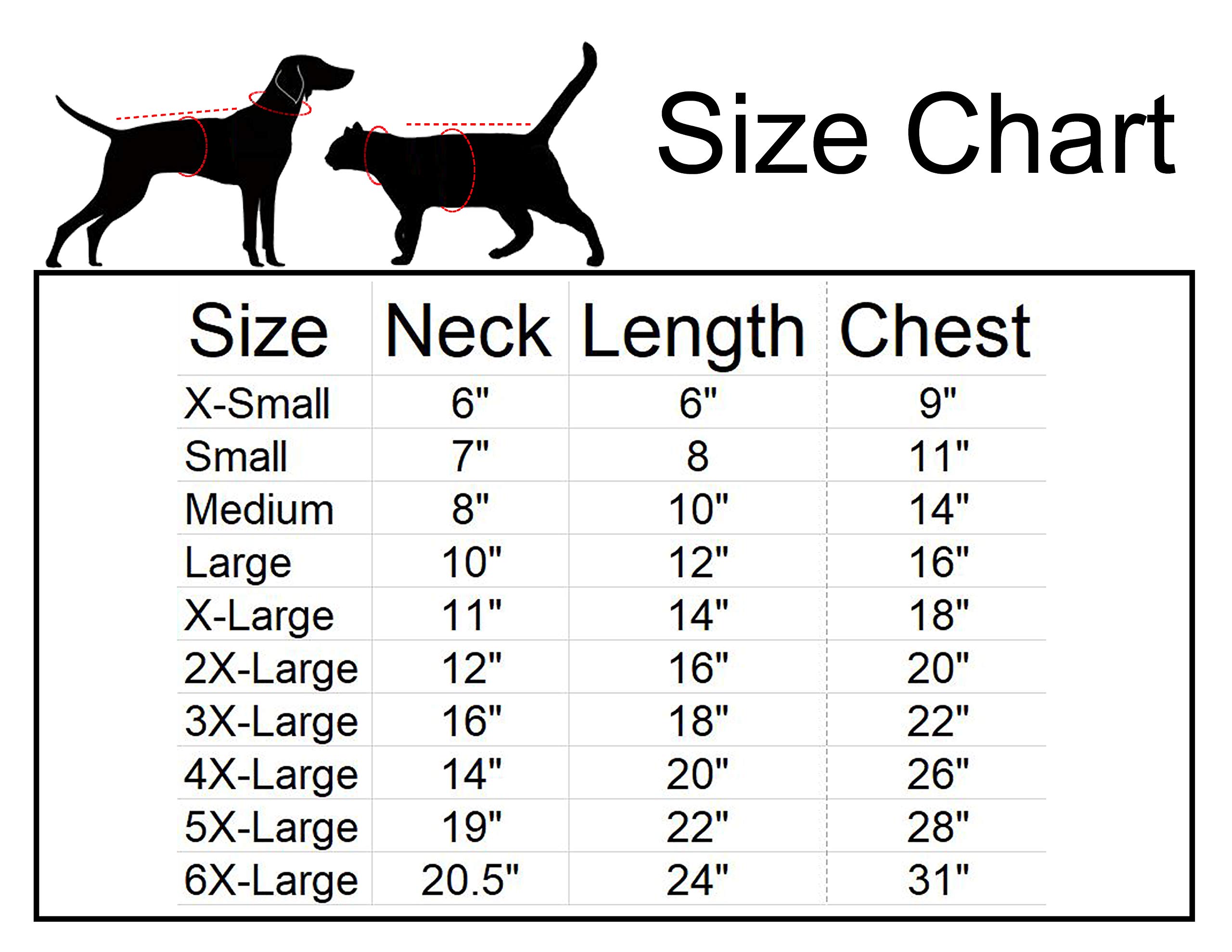 im a big brother dog shirt