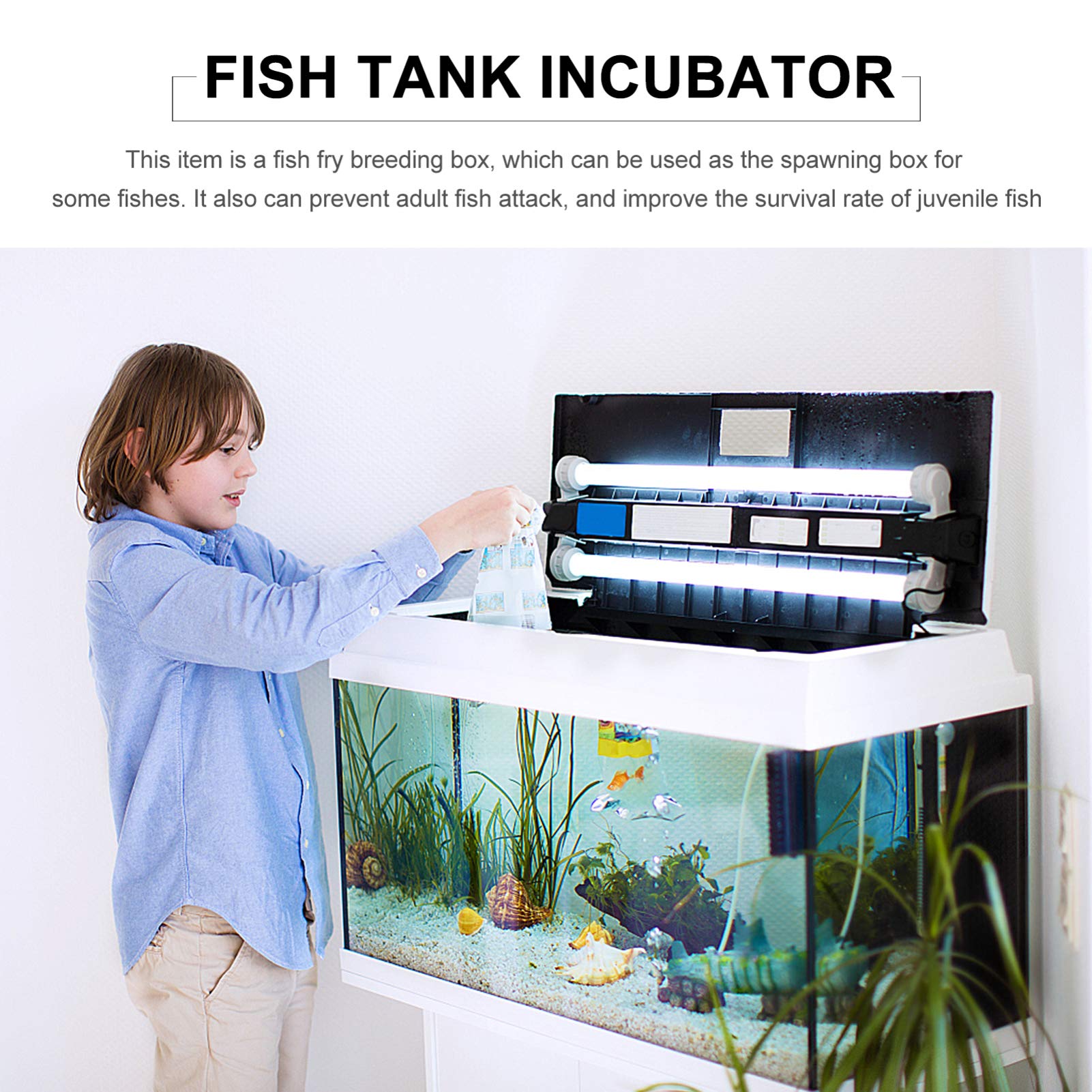 Fish Fry Magnetic Aquarium Breeder Box Perfect For Guppy, Betta