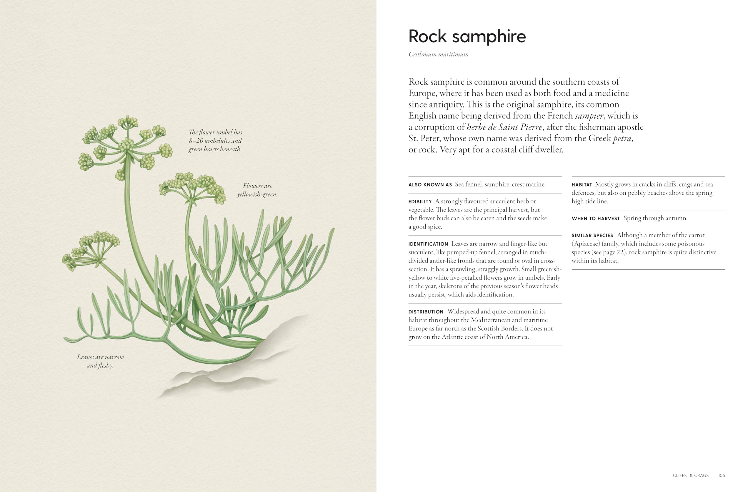 The Coastal Forager: Wild maritime food to preserve, cook, eat