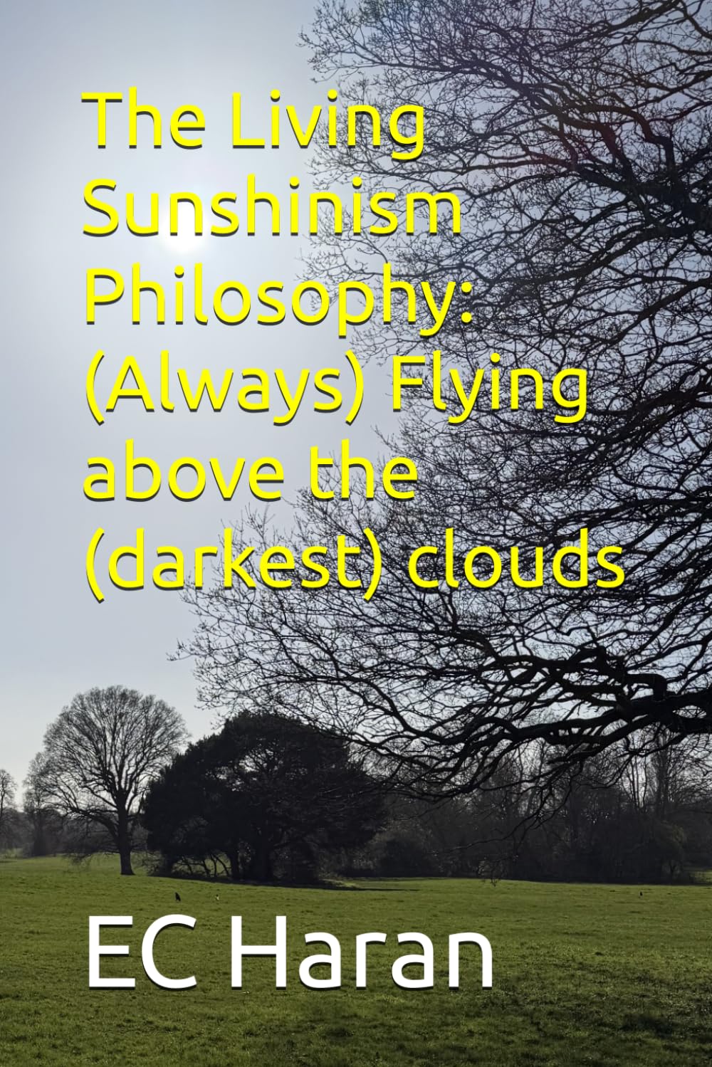 The Living Sunshinism Philosophy: (Always) Flying above the (darkest) clouds