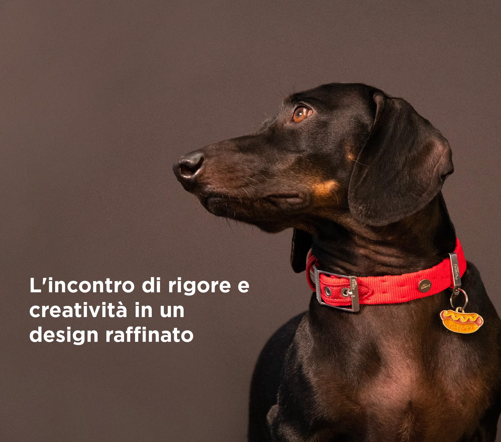 MyFamily Collar De Perro Ajustable En Nylon Made In Italy, Acabado Metálico En Bronce Blanco, Cómodo Y Resistente, Hecho A Mano, Colección Mlano