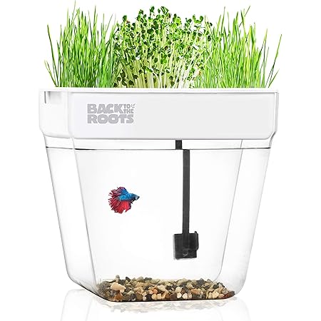 Back to the Roots Indoor Garden - Self Watering, Mess-Free Planter for Herbs, Microgreens, Bamboo, Succulents, and Houseplants