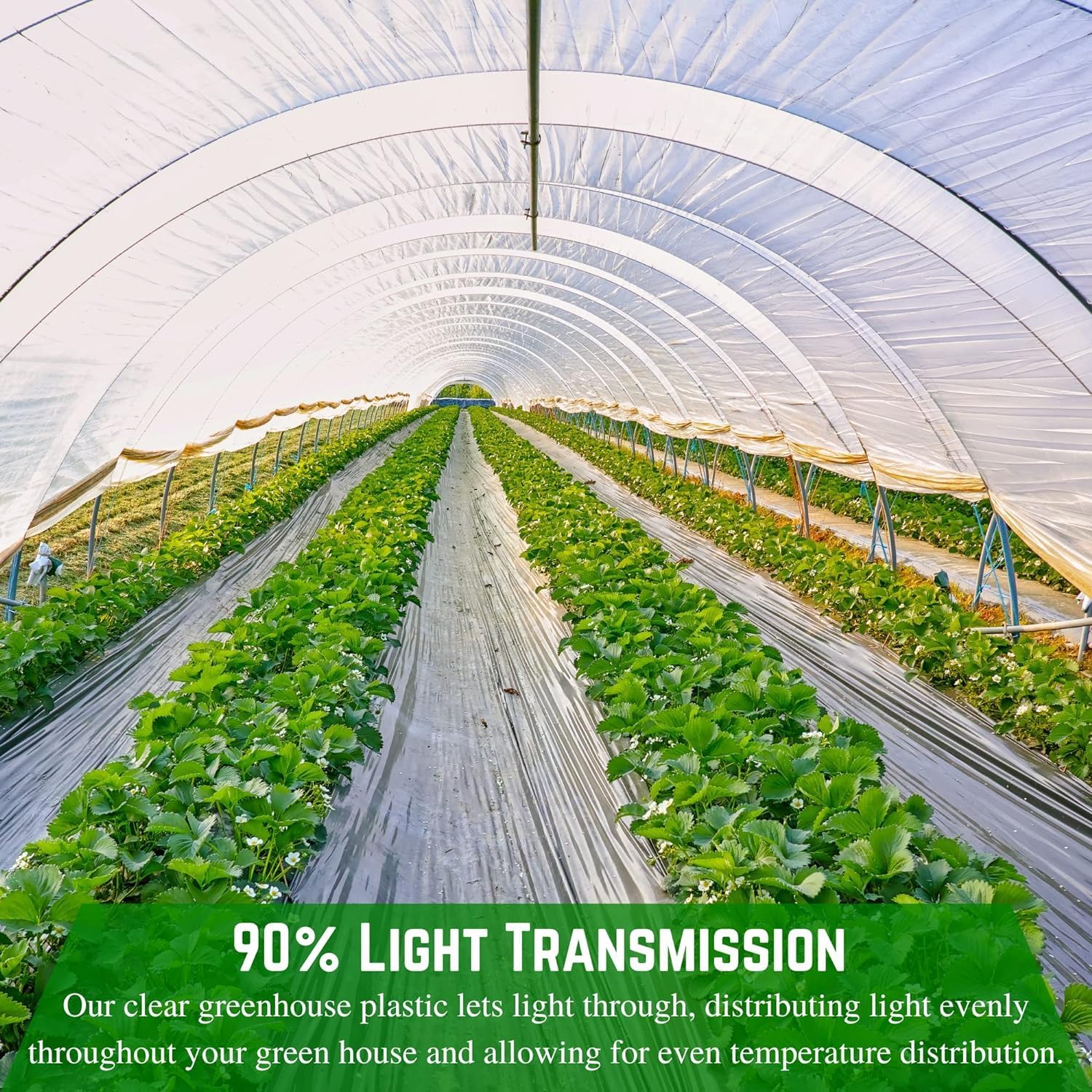 Farm Plastic Supply - Clear Greenhouse Plastic Sheeting - 6 mil - 4 Year UV Resistant Polyethylene Greenhouse Film, Replacement Cover, Hoop House Green House Cover for Gardening, Farming (12' x 100')