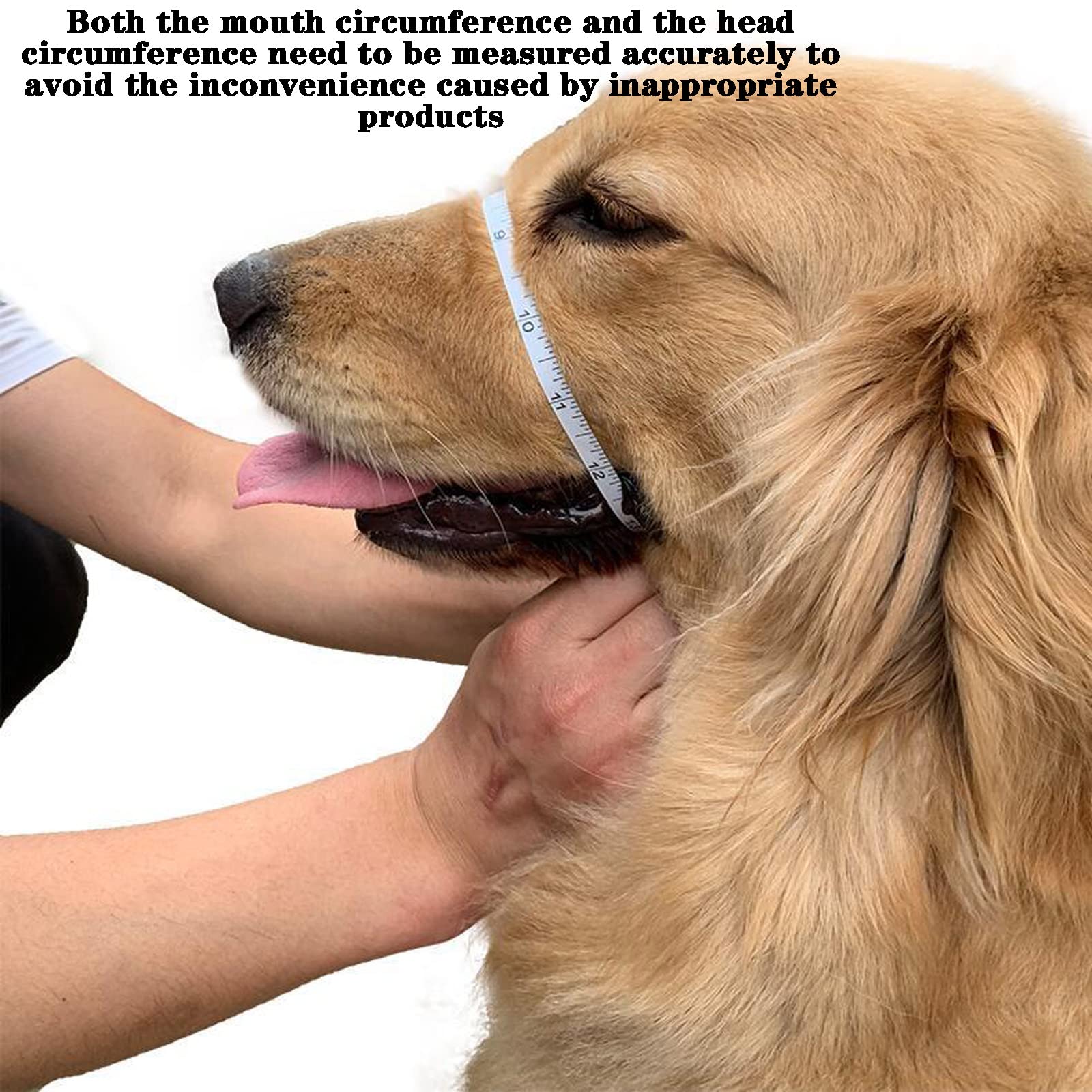 Bozal para Perros pequeños, medianos y Grandes, Evita Que los Perros muerdan, ladren y mastiquen, con Correas Ajustables, Cómodo y Transpirable (S, Red)