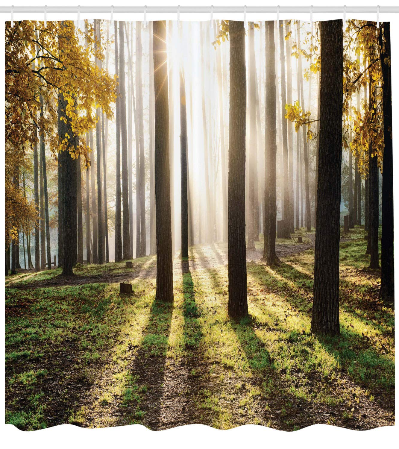 ABAKUHAUS Forest Shower Curtain, Landscape Sunrise in the Forest Leaves in Seasonal Woodland Scenery Photo - Image 2
