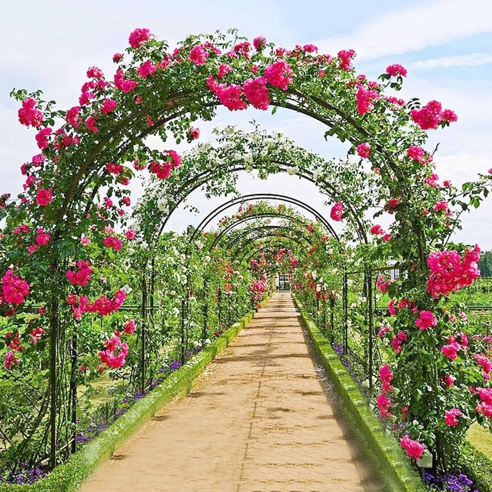 Arco Nuziale in Metallo, Pergolato da Giardino Robusto, Traliccio per Patio