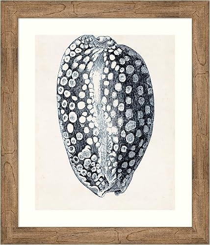 Amanti Art Framed Wall Art Print 28x24 Coastal Collection in Indigo III by Vision Studio, Beach Wall Art, Vintage Decor, Medium Poster Painting