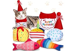 Celebrate Your Cat's Special Day with the Ultimate Birthday Bash