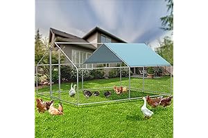 Large Weather Resistant Dog Kennel Run Chicken Coop with Cover