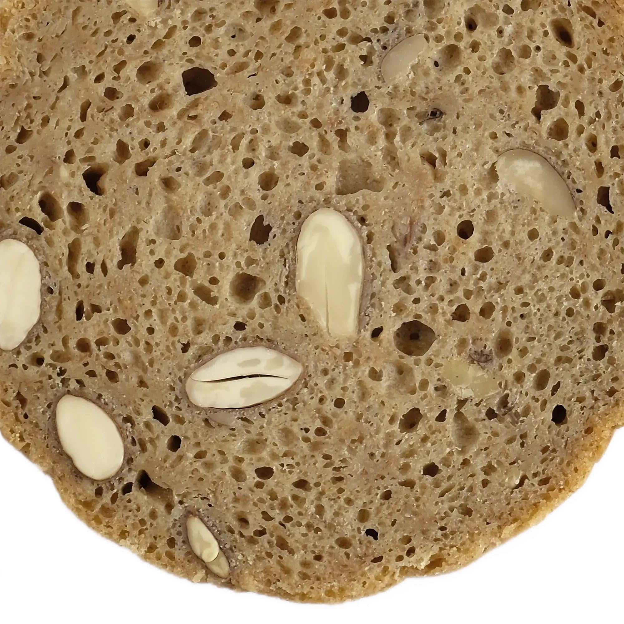 LANDSTREICHER Demeter BIO Dosenbrot, Nussbrot, 5 Jahre haltbar, 6er Pack (2.400g)