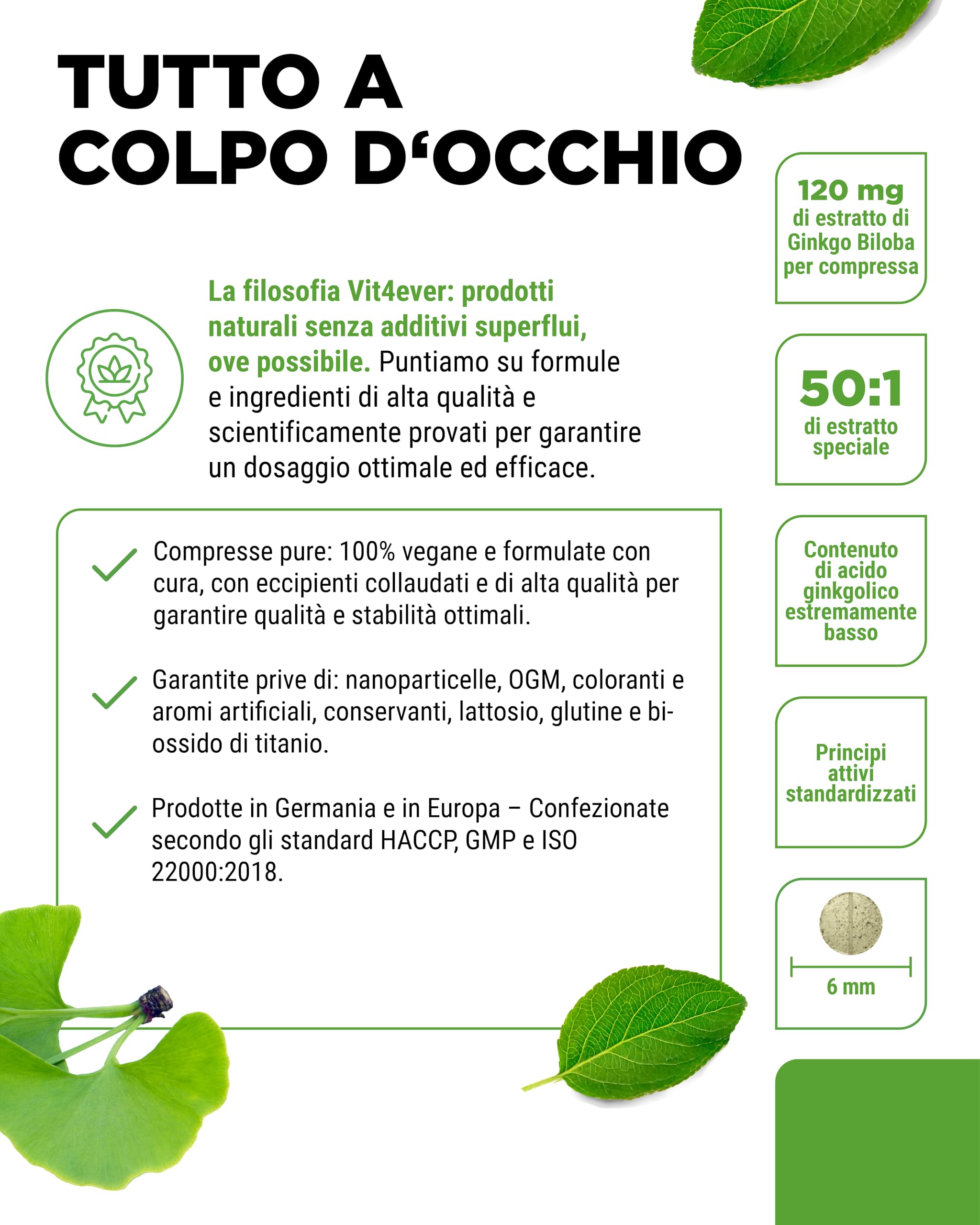vit4ever Ginkgo Biloba 6000 mg - 365 Compresse – Estratto Premium: con Flavonglicosidi + Ginkgolidi-Lattoni Terpenici e privo di Acido Ginkgolico - Alto dosaggio – Vegano
