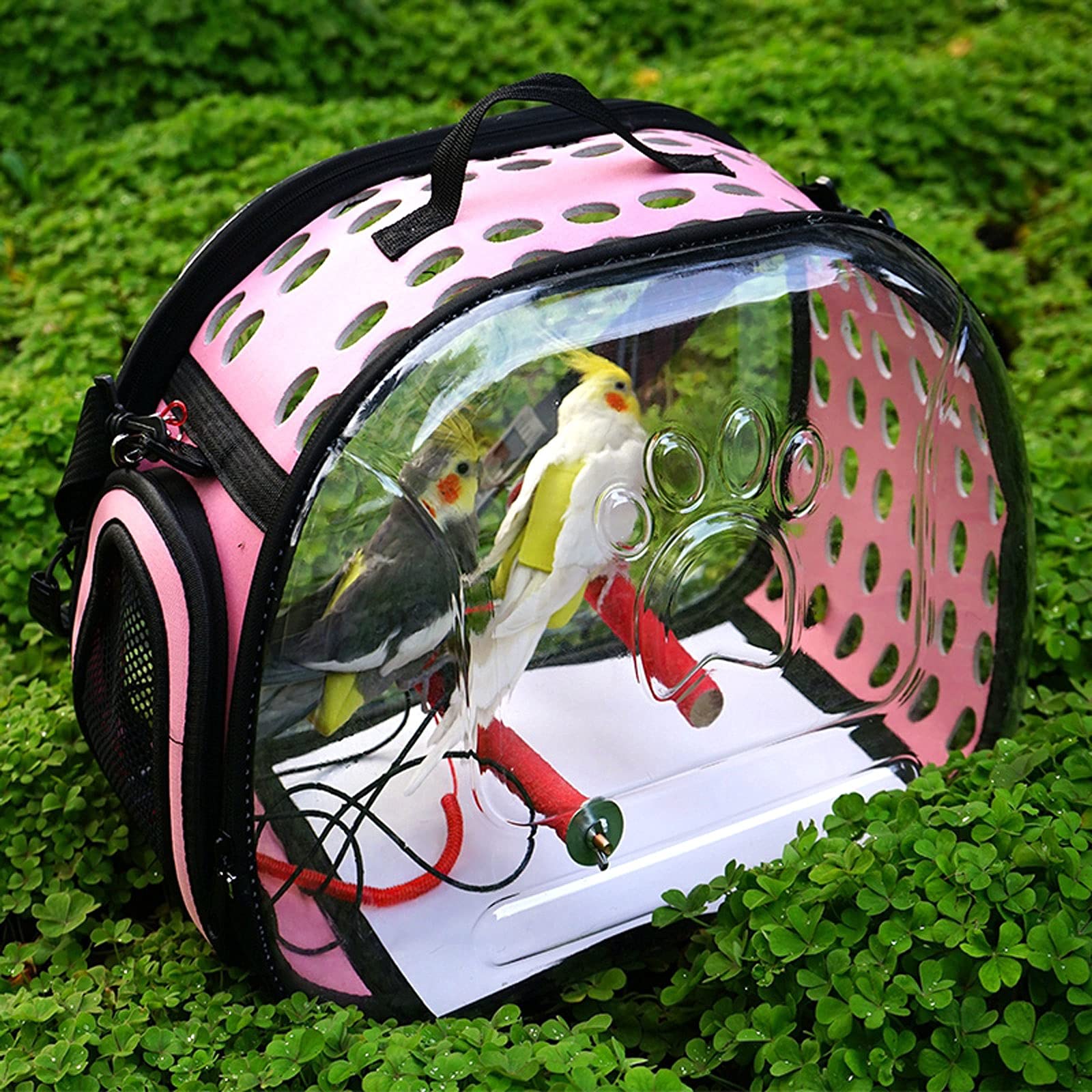 Transportador de Viaje para pájaros, transportín para Loros, transportín de Viaje, portátil y Transpirable, para Turismo al Aire Libre, Transparente, Jaula de Viaje para pájaros, Maleta, por