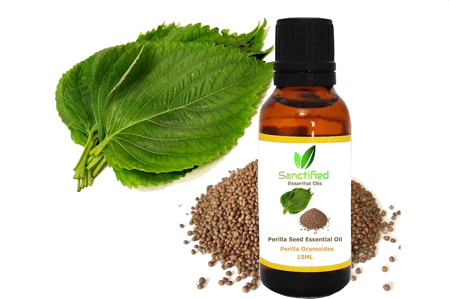 Amazon Com Sanctified 15ml Essential Oil 100 Pure Natural Aromatherapy Aroma Essential Oils For Skin Care Hair Treatment Perilla Seed Essential Oil Beauty