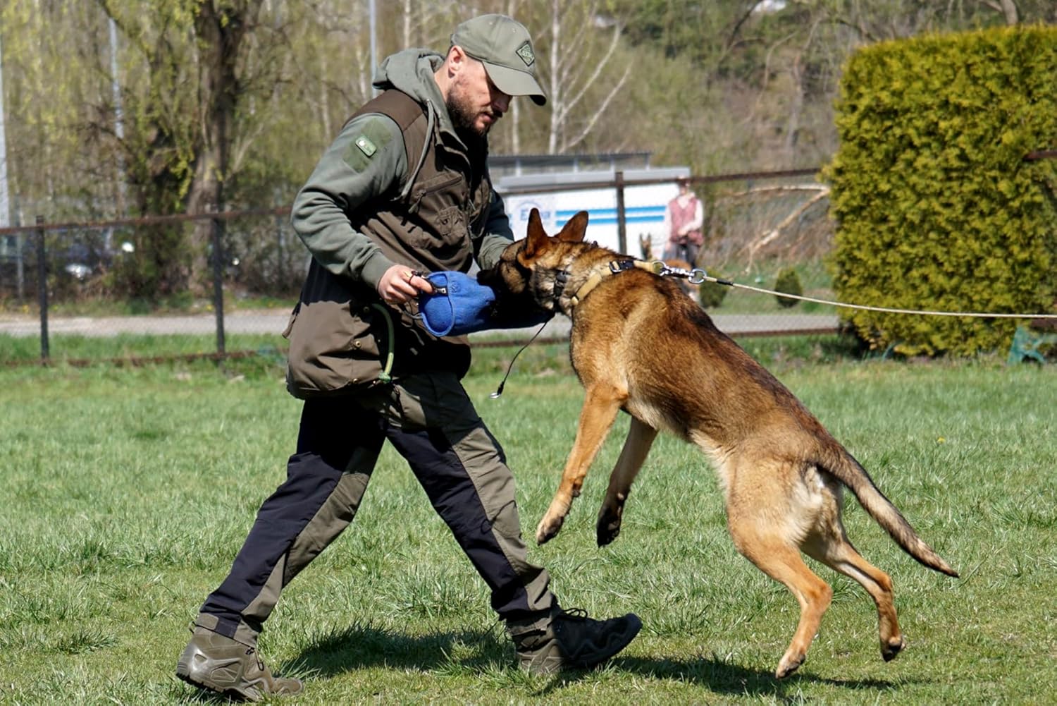 DINGO GEAR Berta Tug Toy in a Barrel Shape for... 11 DINGO GEAR Berta Tug Toy in a Barrel Shape for...