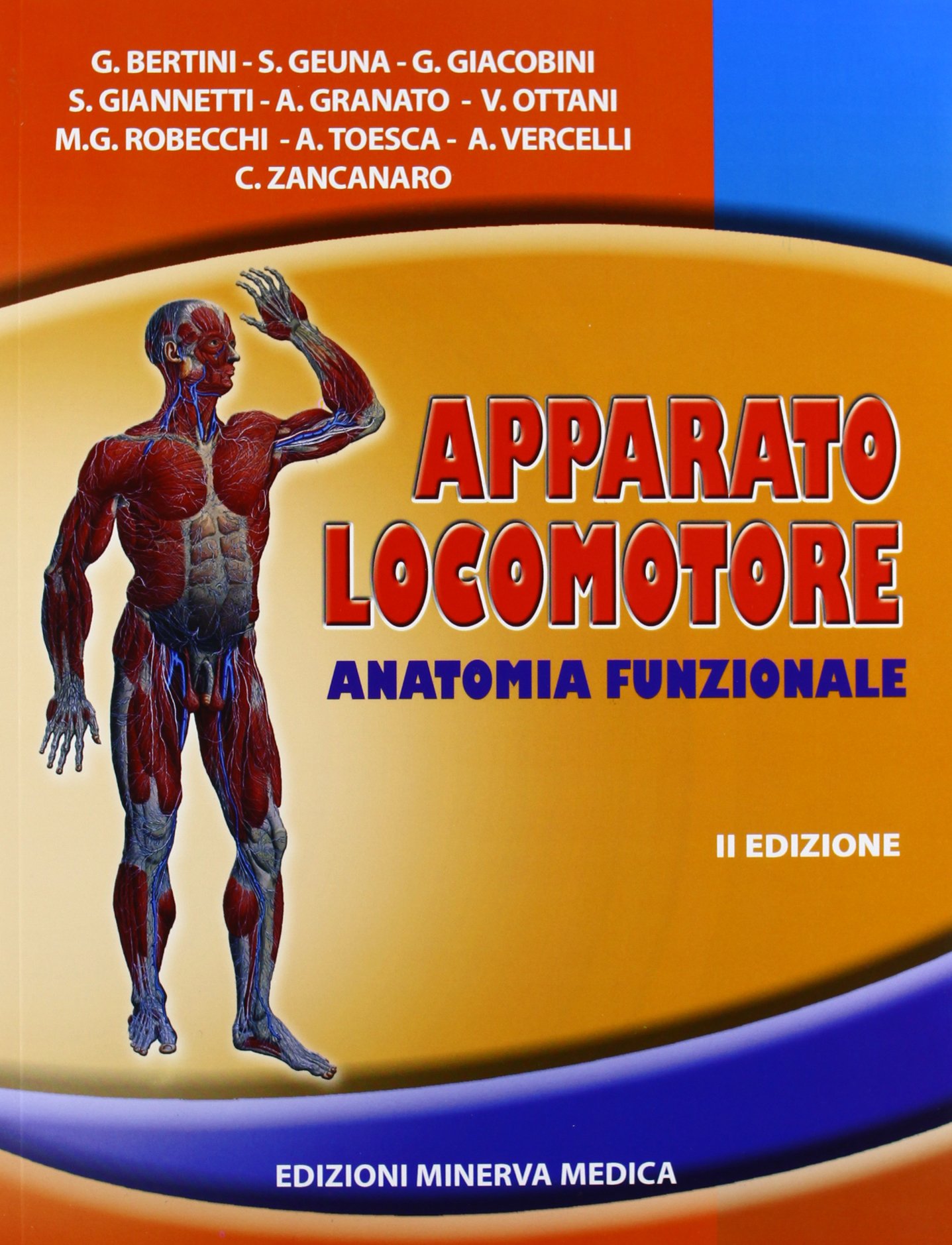 Minerva Apparato locomotore. Anatomia funzionale