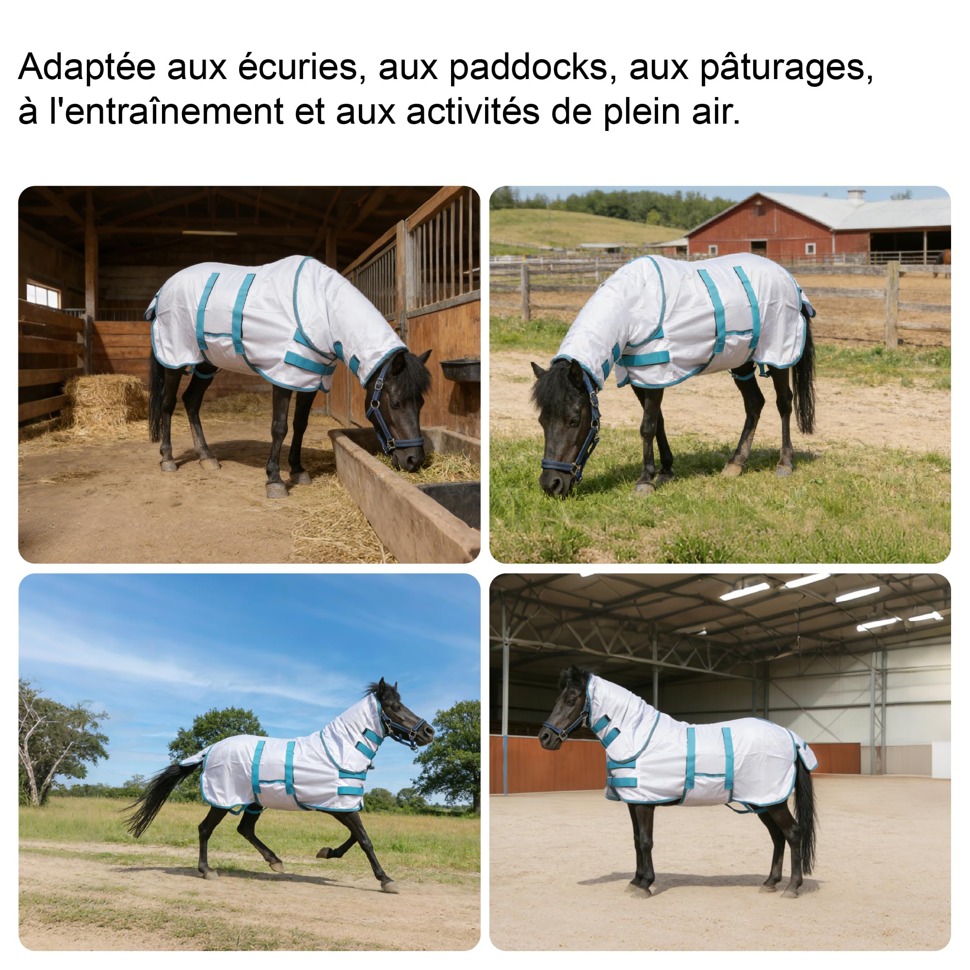 Manta antimoscas para mini caballo, pequeño pony, con tapa para cuello y banda vientral, extraíble, protección UV, malla ligera y transpirable, para burro, miniatura, potro destetado