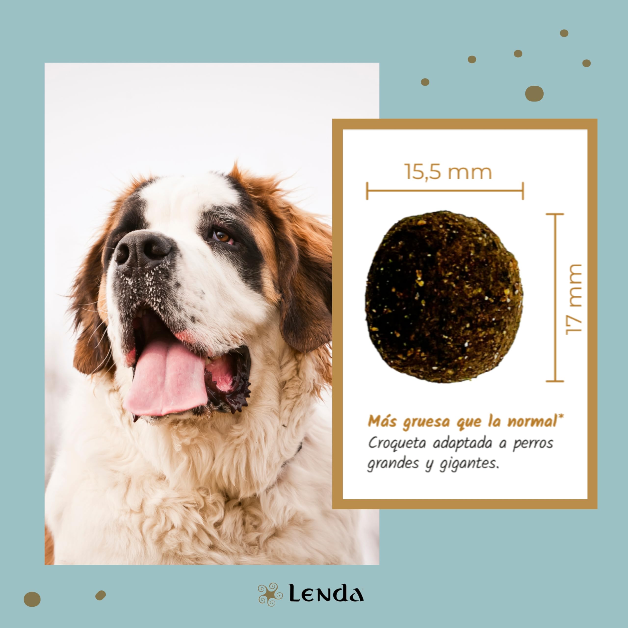 Lenda Chicken Maxi 12kg - Pienso para Perros Jóvenes y Adultos | Razas Grandes y Gigantes | Comida para Perros Grandes Rica en Pollo | Natural